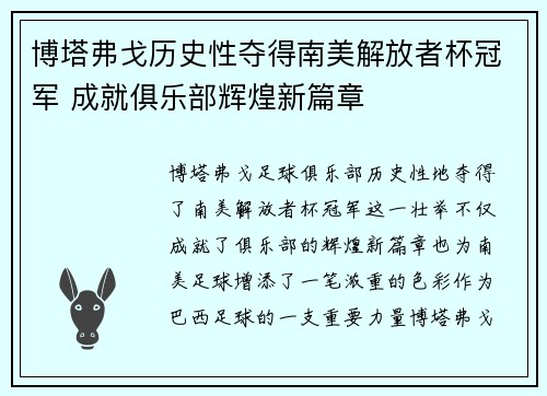 博塔弗戈历史性夺得南美解放者杯冠军 成就俱乐部辉煌新篇章